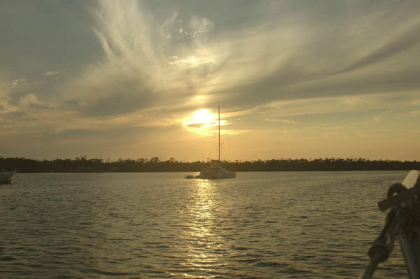 DSC_2366